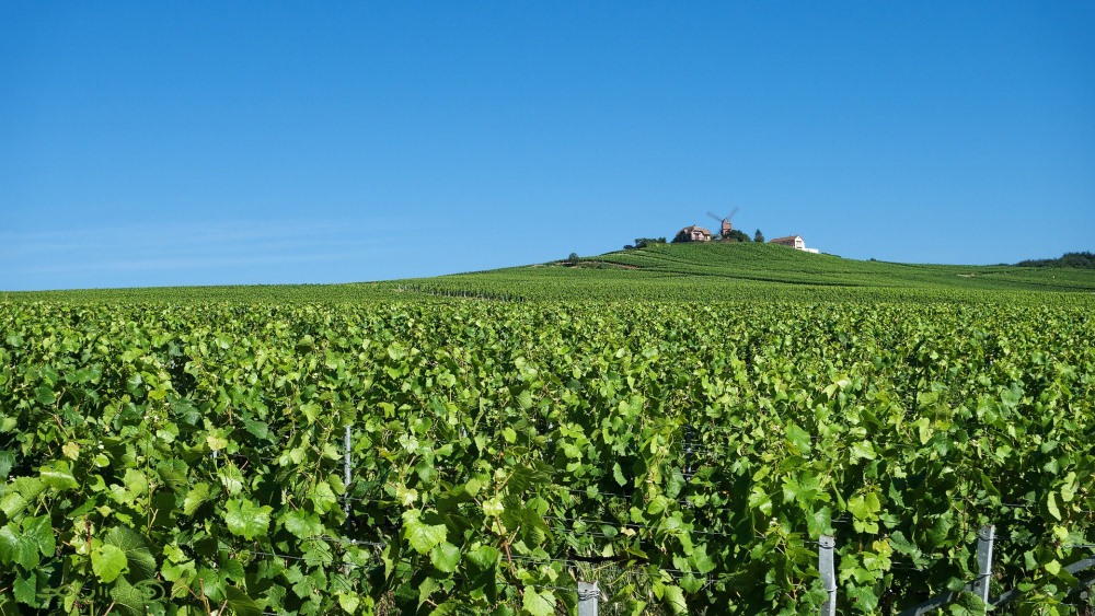 L’ecotourisme