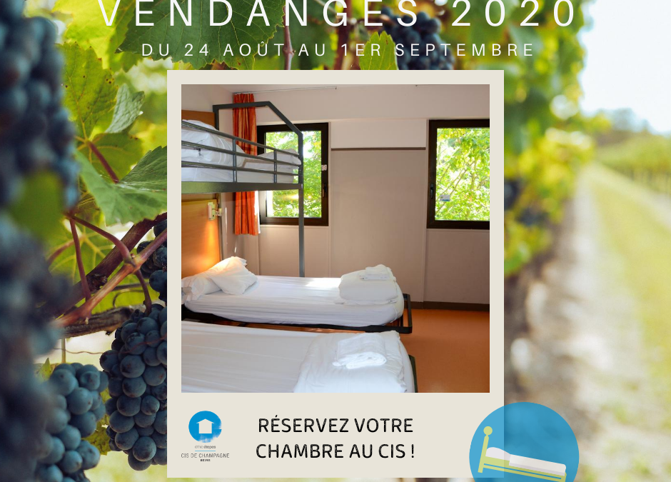 Vendangeurs, le CIS vous attend !
